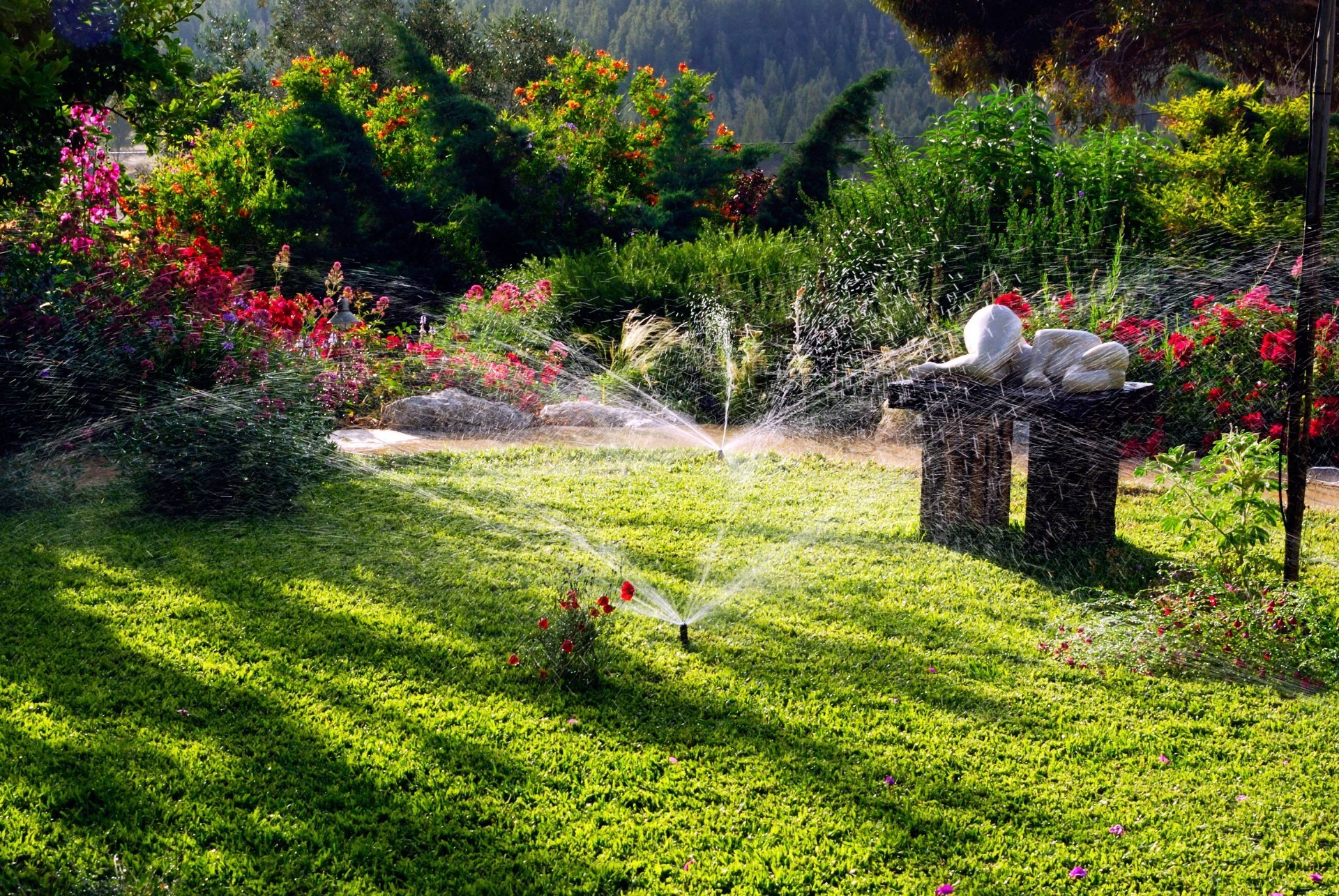 paysage fleur jardin herbe nature arbre paysage parc pelouse été à l extérieur flore feuille