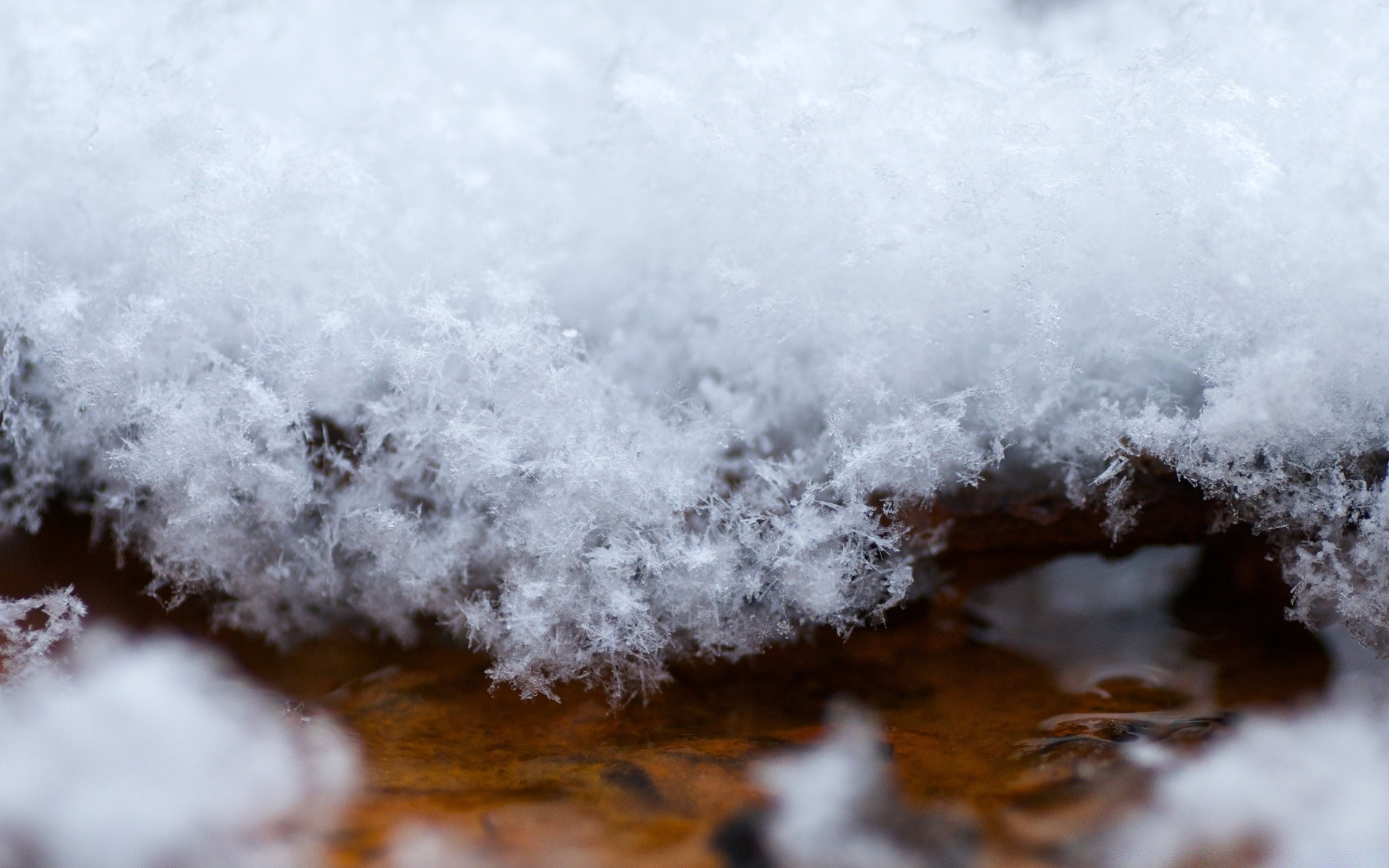 macro hiver météo nature neige eau paysage extérieur froid bureau tempête environnement glace résumé
