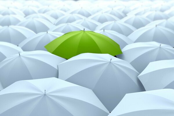 Un parapluie vert lumineux sur fond blanc