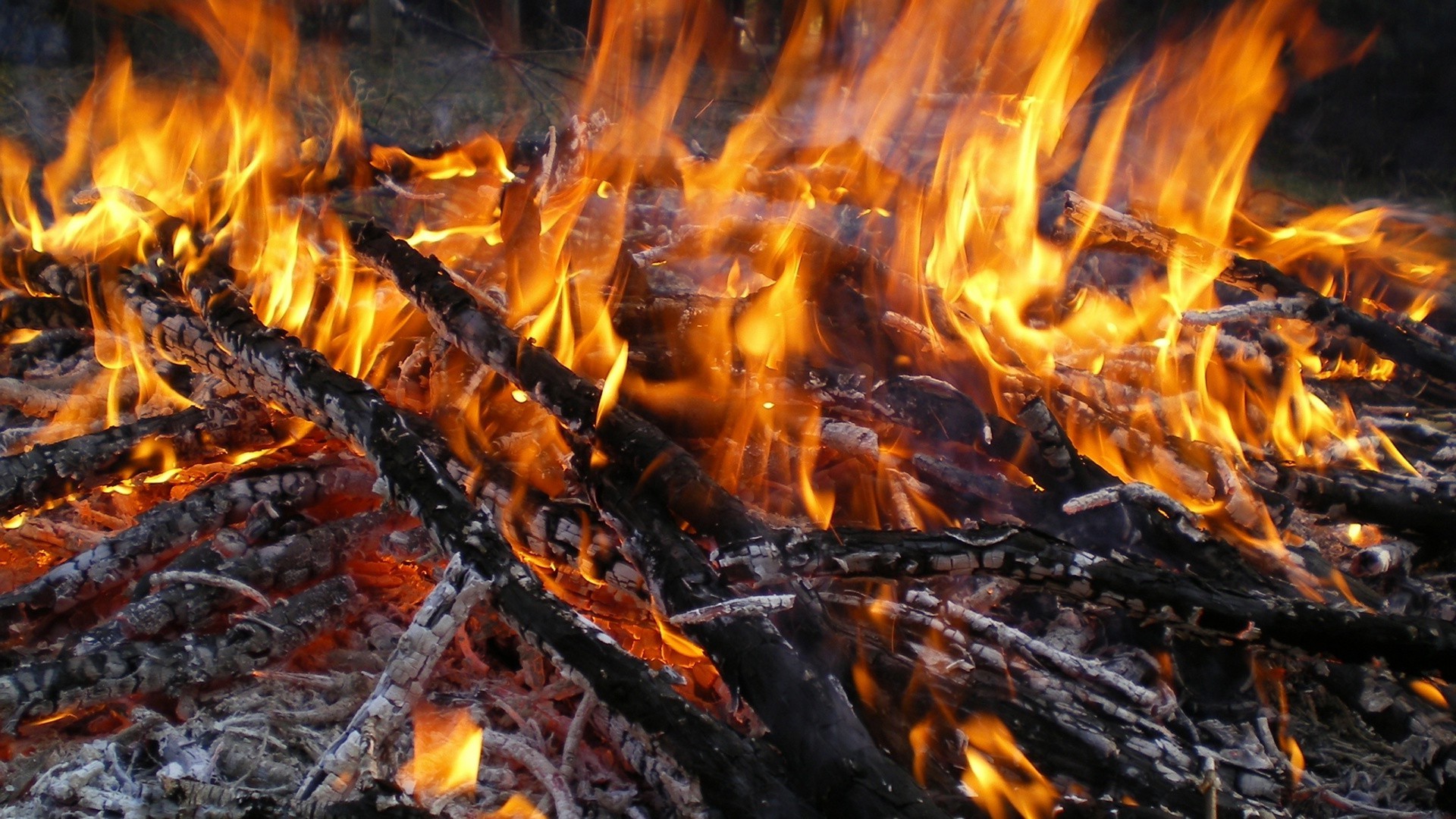 flamme feu de camp feu de camp chaleur charbon cheminée brûler charbon bois de chauffage cendres chaud inferno chaleur fumée blaze inflammable allumer feu température camp
