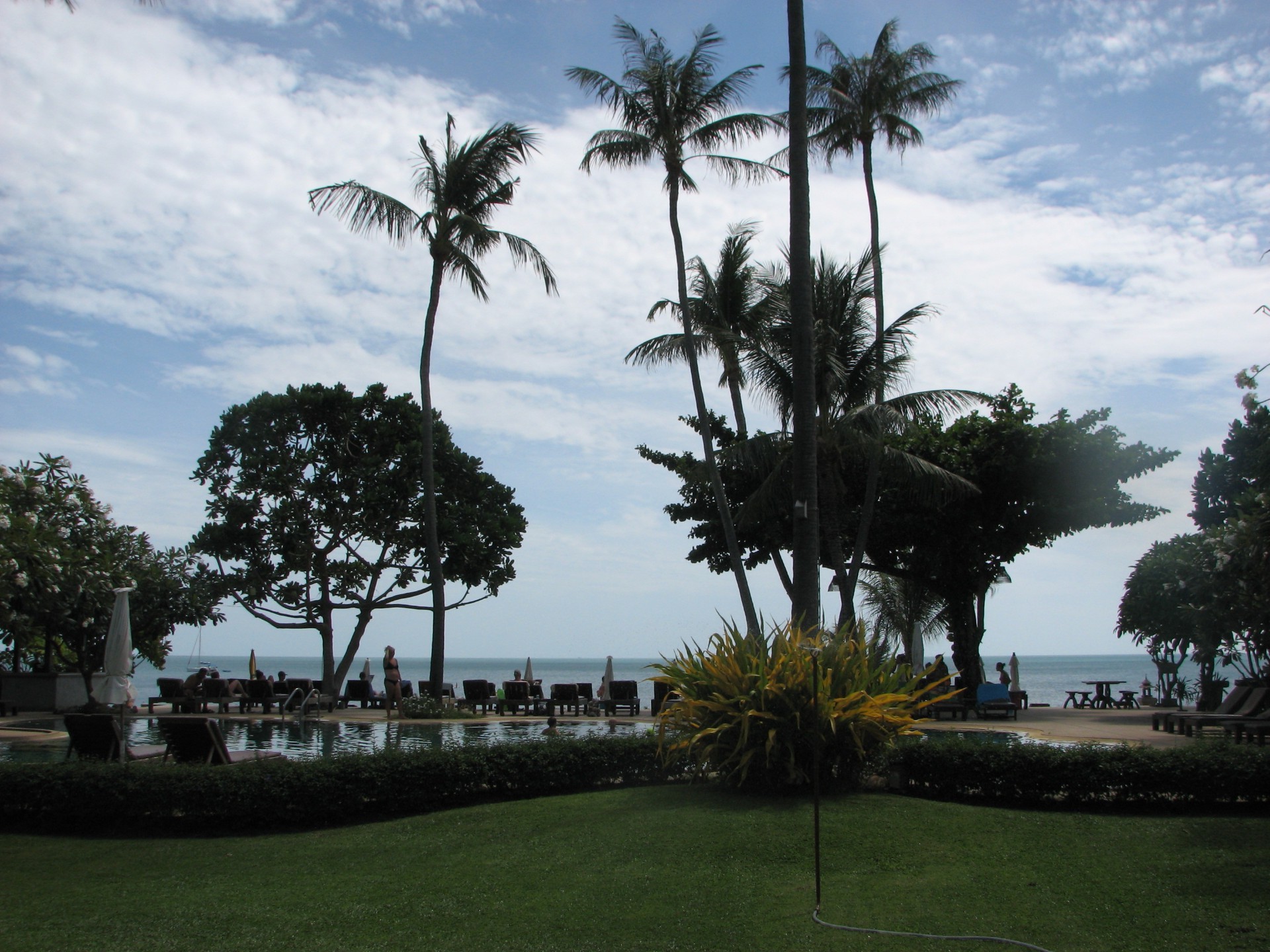 arbre palm station vacances voyage tropical vacances hôtel vacances eau lumière du jour île plage tourisme mer en plein air ciel luxe parc