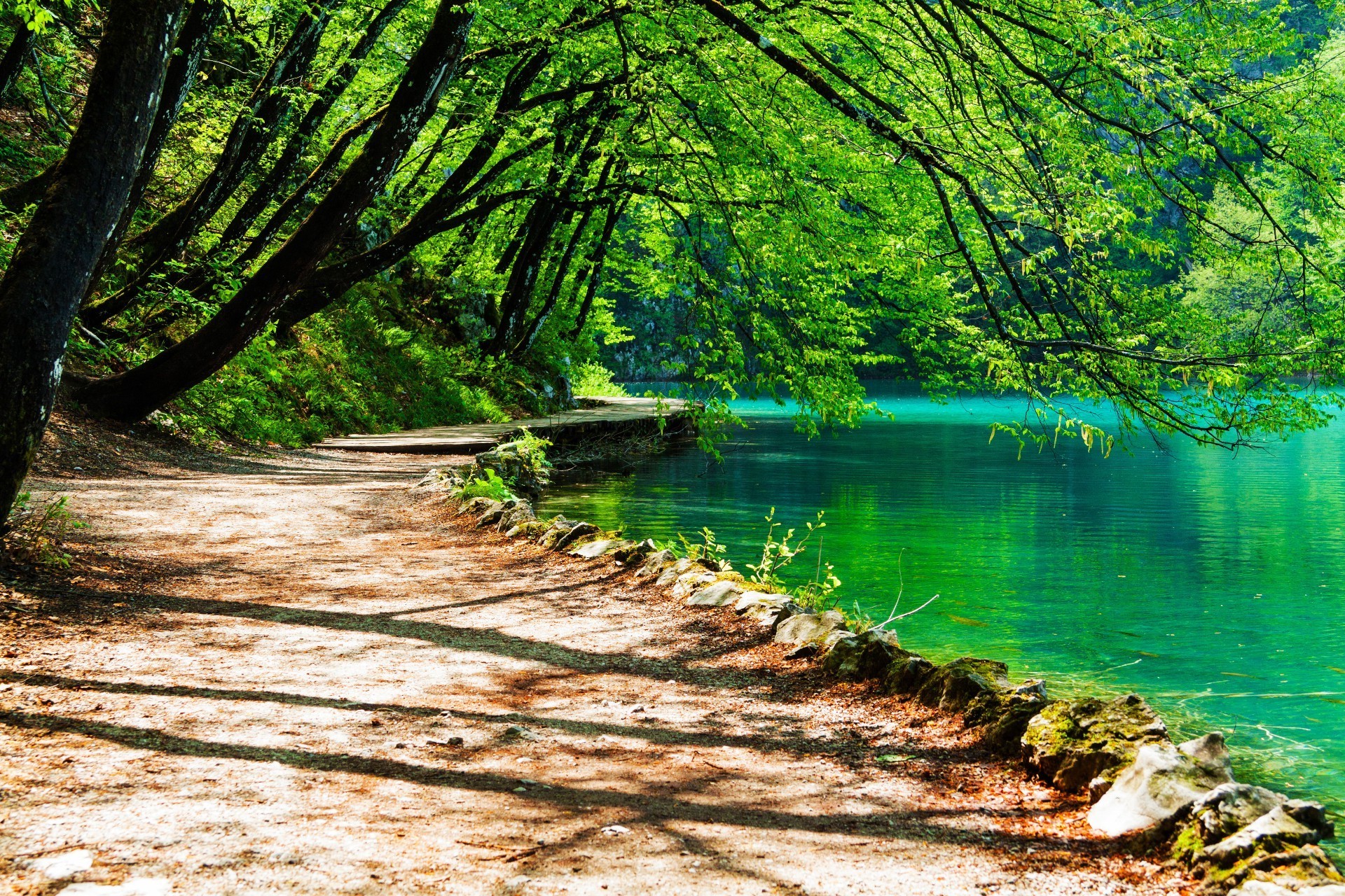 bois nature eau arbre paysage feuille été à l extérieur scénique beau temps parc saison voyage paysage sang-froid soleil luxuriante scène