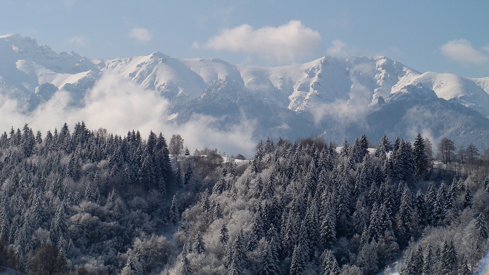 neige montagnes hiver voyage glace bois paysage froid ciel à l extérieur brouillard nature