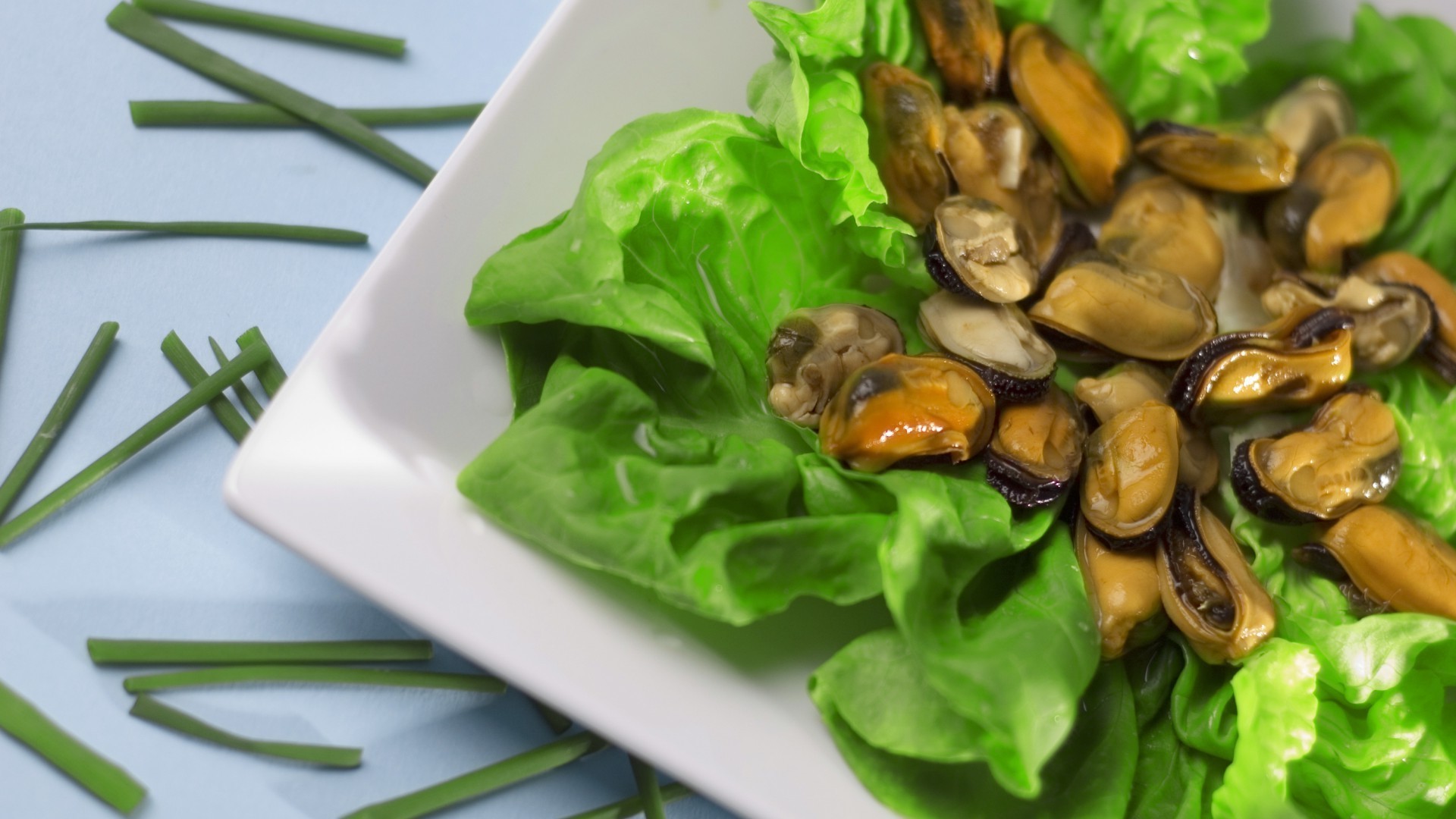 alimentaire en bonne santé légume alimentaire cuisine feuille cuisine santé régime alimentaire salade alimentaire dîner gros plan plat déjeuner délicieux épicure bureau délicieux