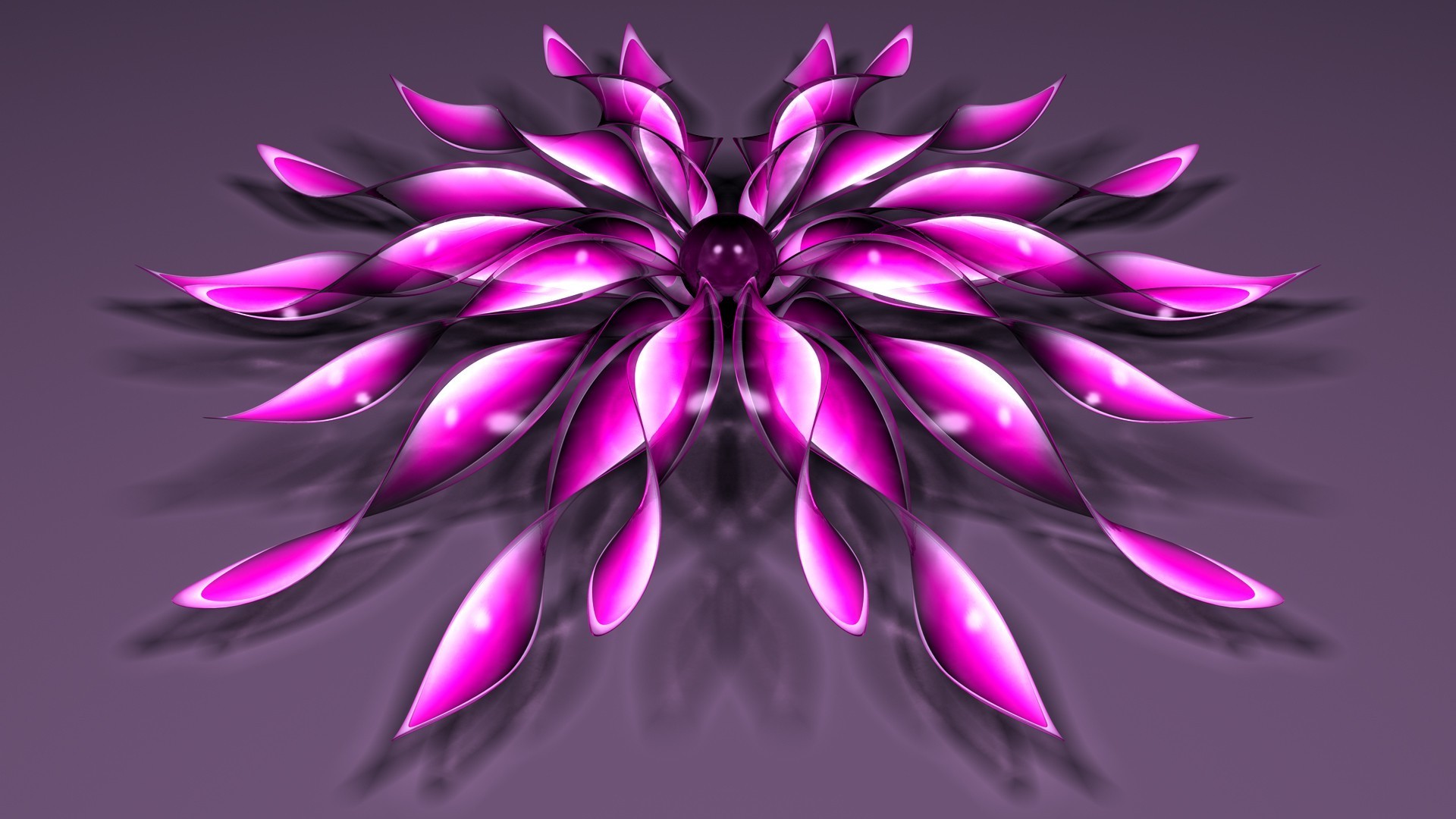 abstrait décoration couleur nature bureau fleur conception belle modèle lumineux floral illustration art flore