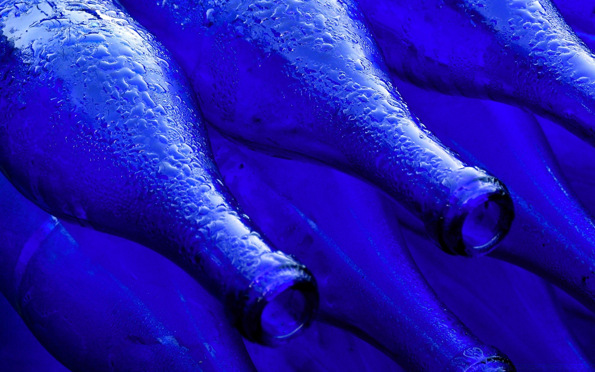 macro couleur bureau résumé art sous-marin