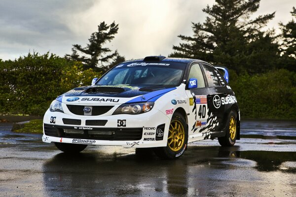 Sport blanc et noir voiture de course Subaru