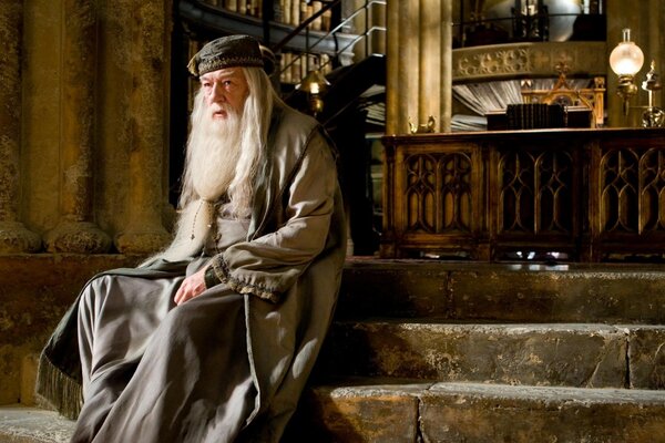 Sage directeur de l école Harry Potter