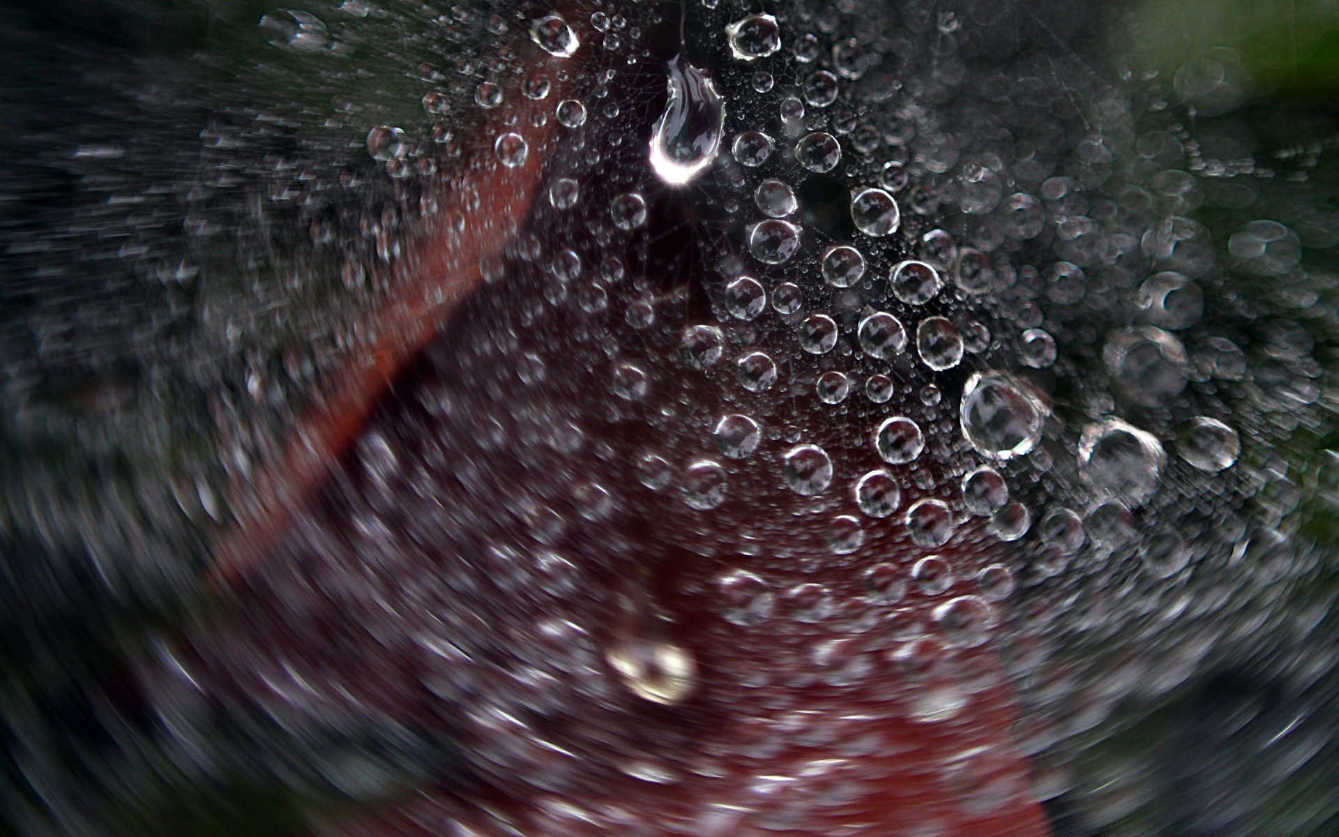 macro pluie humide goutte rosée eau bulle gouttes propre goutte d eau splash liquide gouttes réflexion clair nettoyer boire briller verre lavage