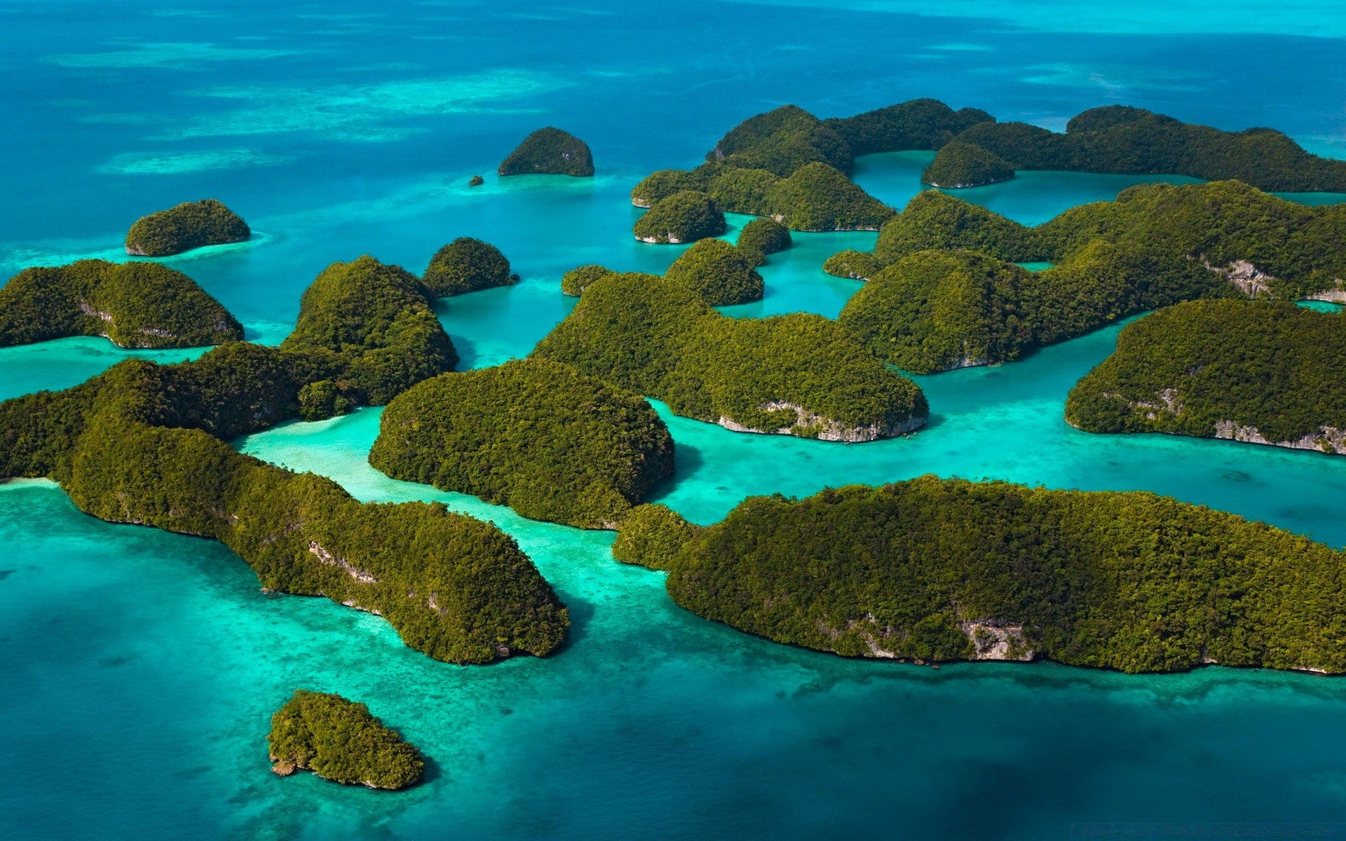 mer et océan eau sous-marin océan voyage mer paysage tropical récif corail nature turquoise paysage île mer