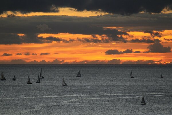 Bateaux dans l océan sur fond de coucher de soleil