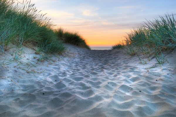 Chemin de sable envahi par la mer