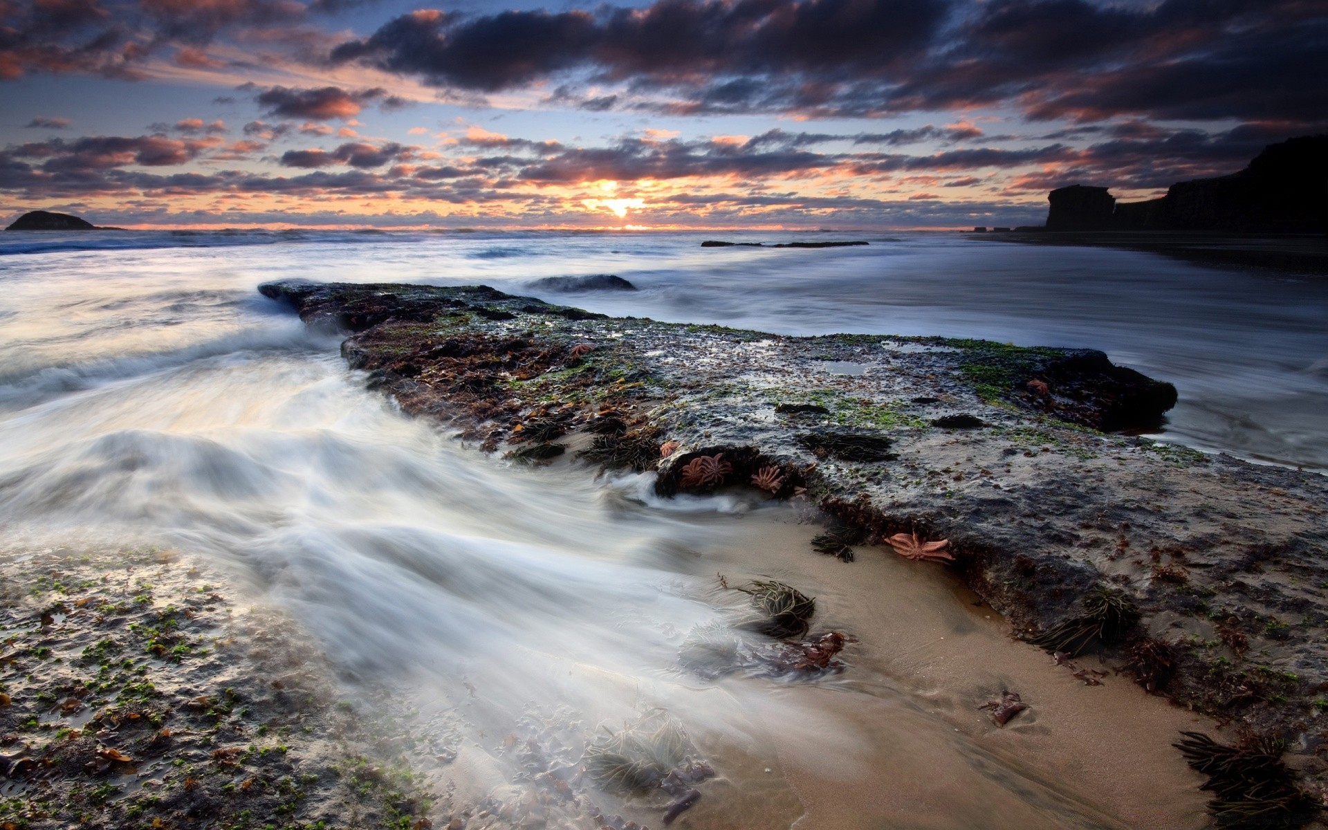 mer et océan eau coucher de soleil paysage plage mer océan voyage nature aube paysage ciel mer soir crépuscule rock à l extérieur