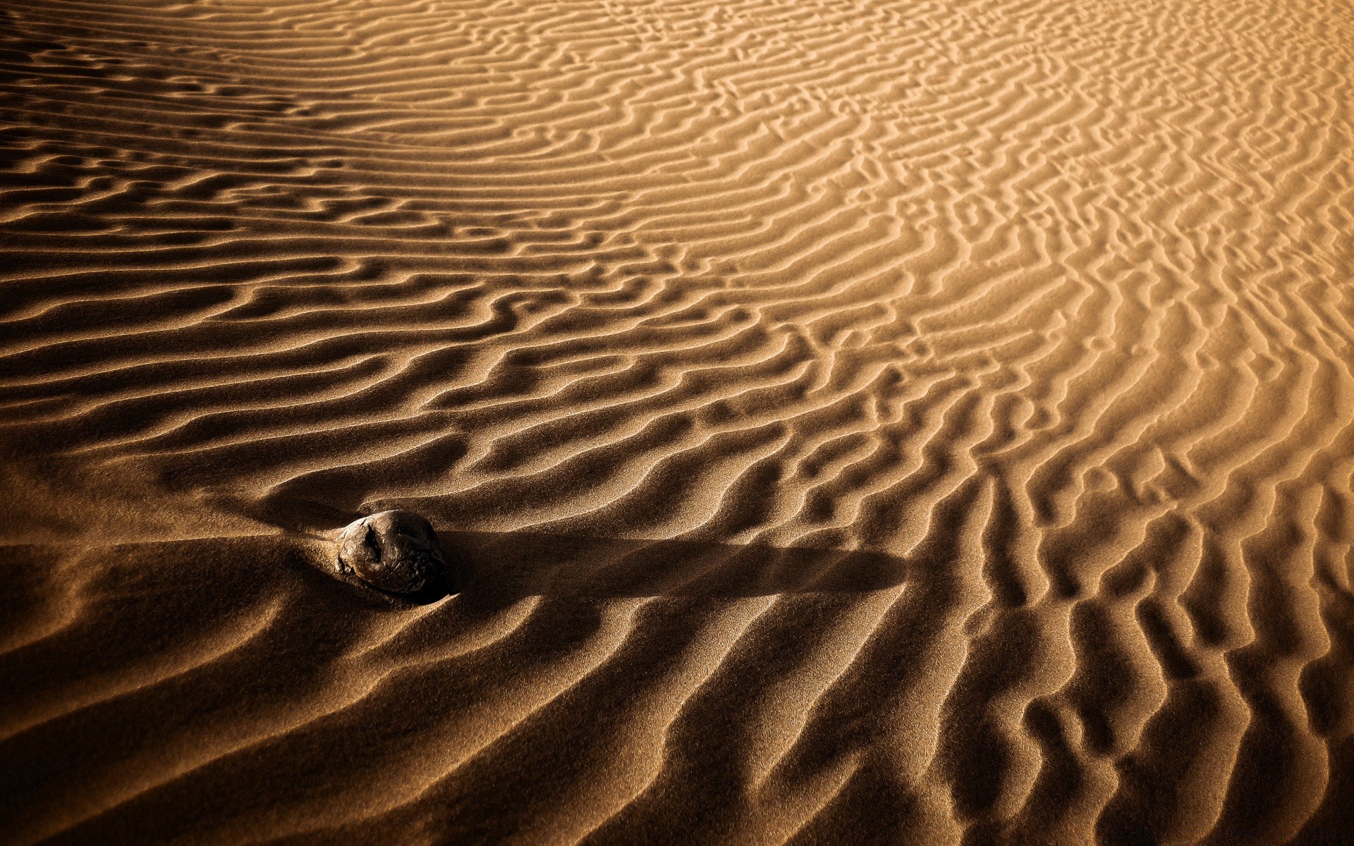 désert sable plage stérile empreinte un dune texture mer vague aride ondulation modèle sec bureau ombre