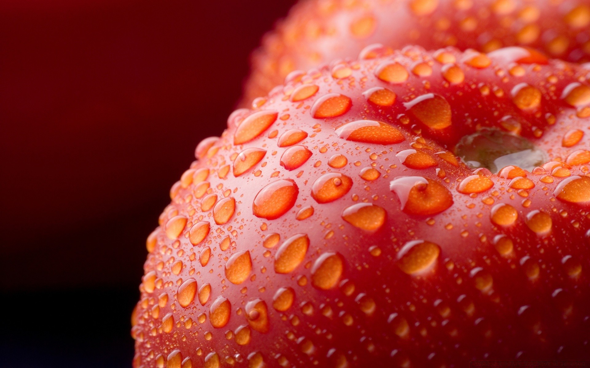 macro alimentaire fruits fraise rafraîchissement confiserie doux délicieux couleur en bonne santé délicieux nature baie gros plan fraîcheur bureau santé juteuse alimentaire régime alimentaire