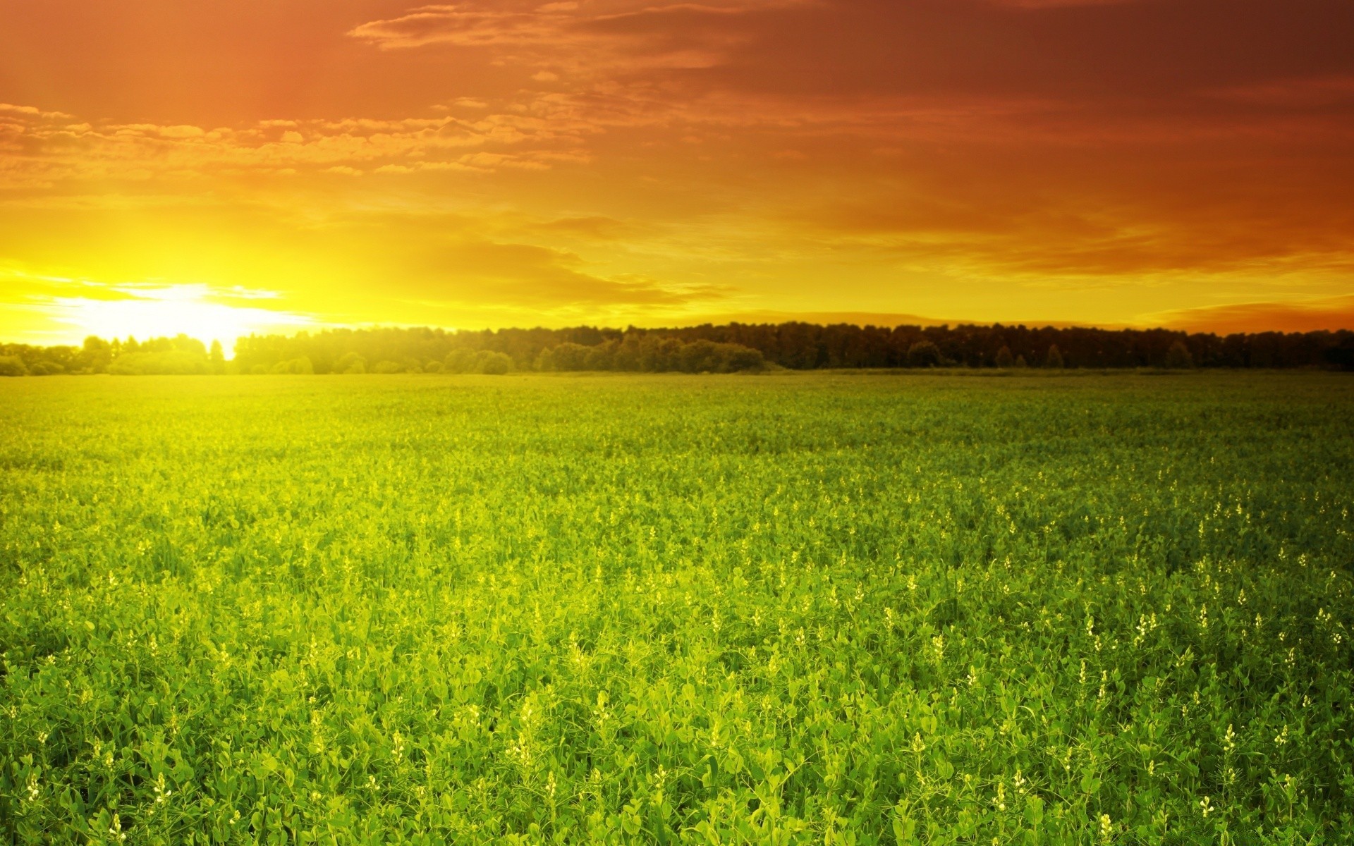 paysage champ rural nature paysage agriculture soleil campagne été beau temps ciel herbe aube ferme foin à l extérieur lumineux flore pâturage environnement