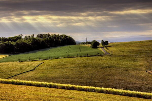 Champs agricoles et terres agricoles