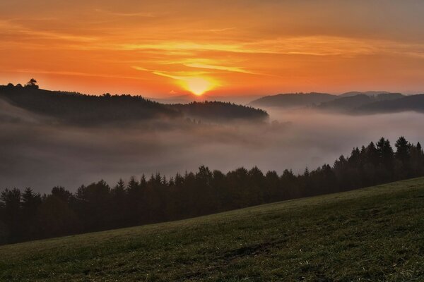 Coucher de soleil dans les montagnes sur le brouillard dans la forêt
