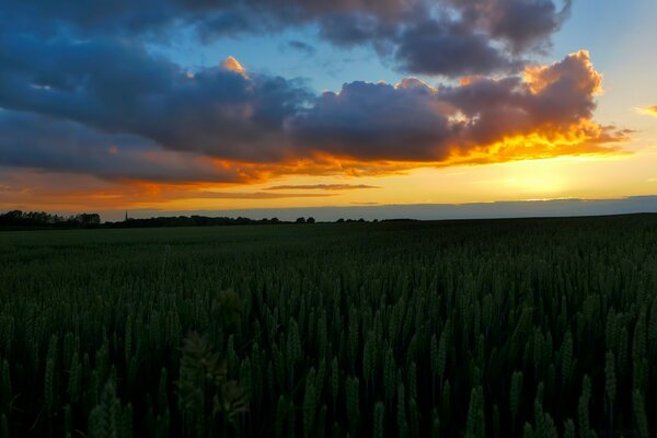 Accompagne le coucher du soleil rencontre l aube