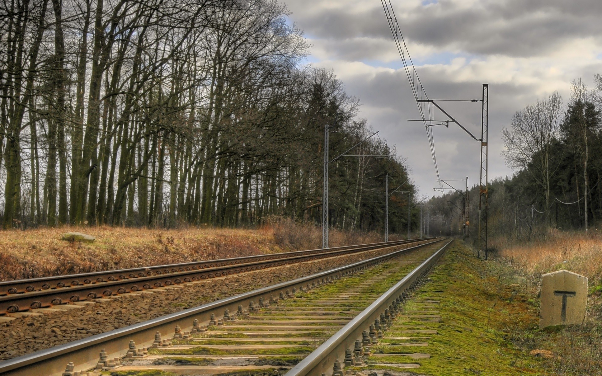 paysage ferroviaire train piste système de transport manuel route ligne bois extérieur voyage lumière du jour lumière perspective paysage industrie bois