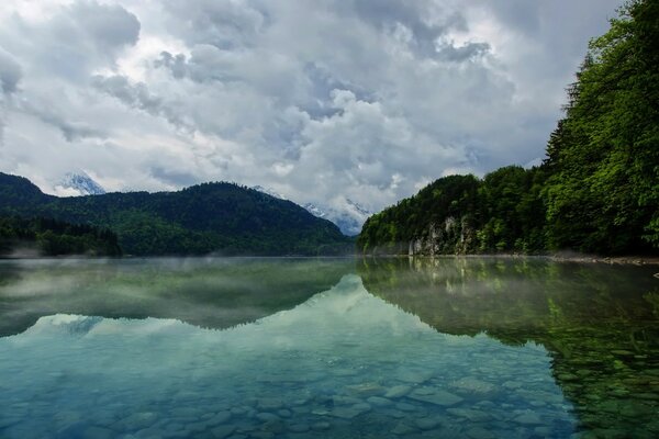 Paysage de lac dans la forêt