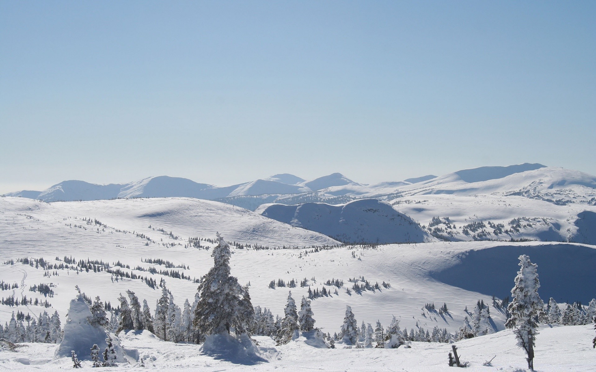 montagne neige hiver montagne froid station colline pic de montagne scénique glace paysage neigeux bois congelés alpine voyage vallée bois gel panorama