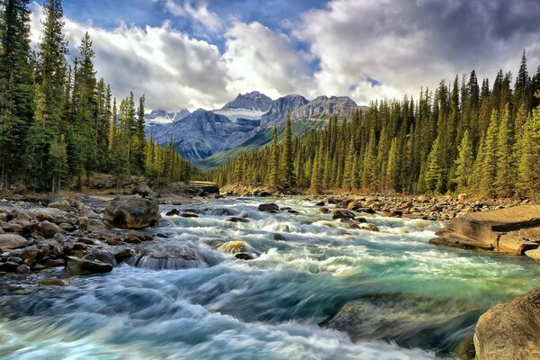 Les rivières de montagne sont fortes et intrépides
