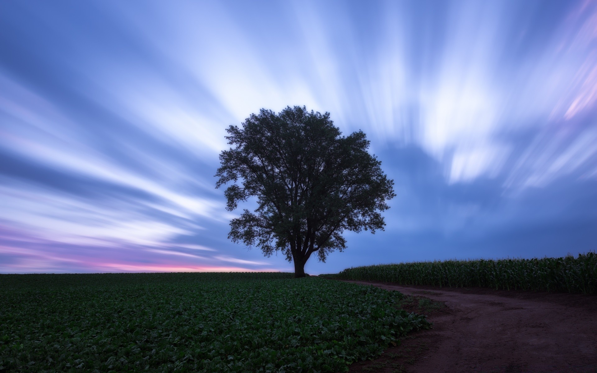 ciel paysage nature soleil arbre ciel aube coucher de soleil campagne beau temps rural à l extérieur herbe champ lumière soir été