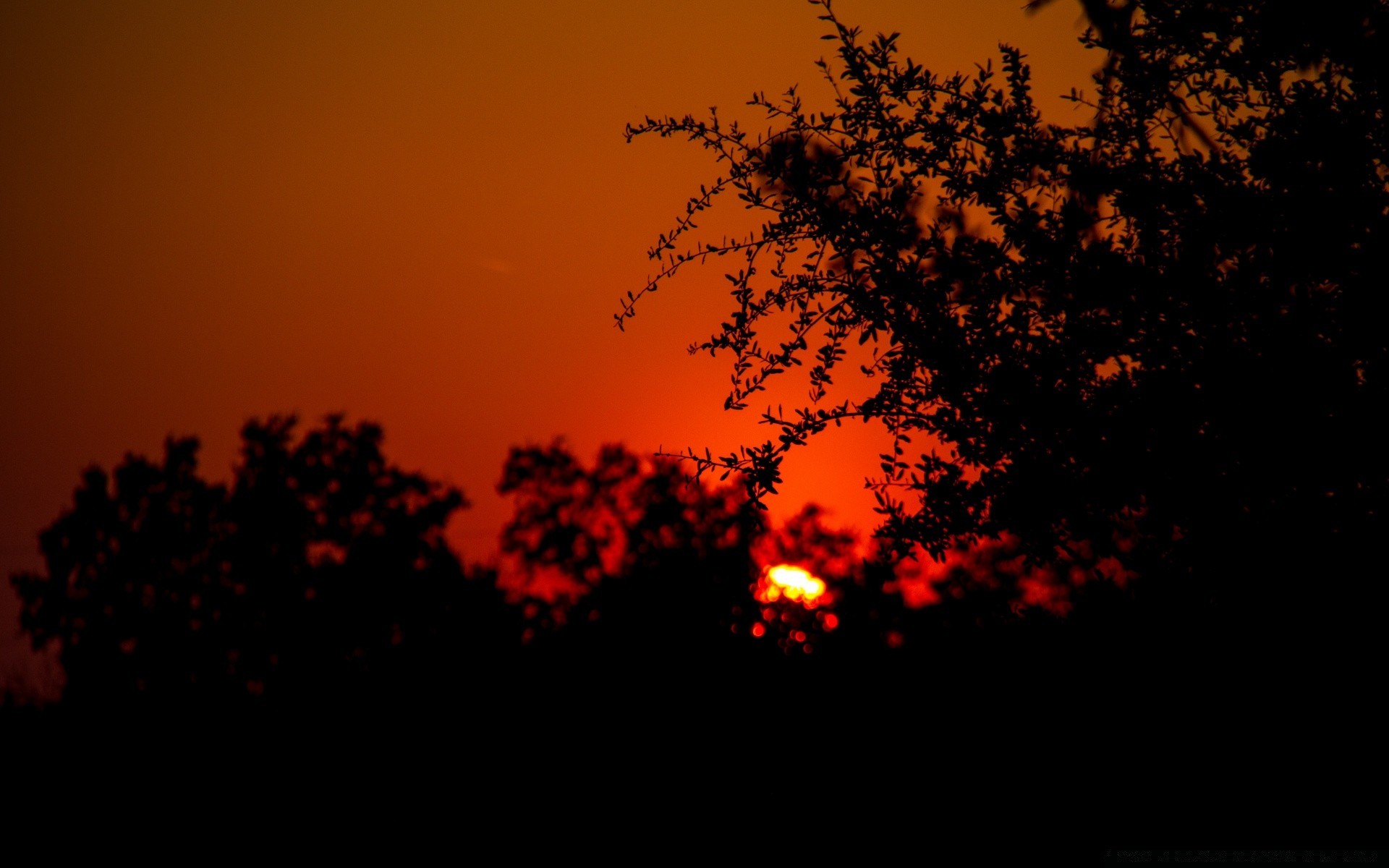 ciel silhouette coucher de soleil rétro-éclairé soir arbre aube lumière soleil crépuscule paysage automne ciel lune