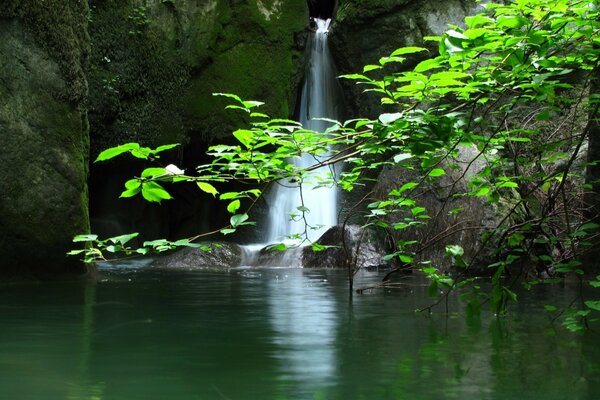 Petite cascade près du lac de la forêt