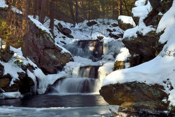 Belle cascade dans la forêt d hiver