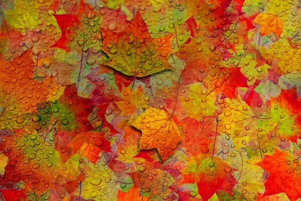 Surface peinte avec des feuilles d automne dans des gouttes d eau