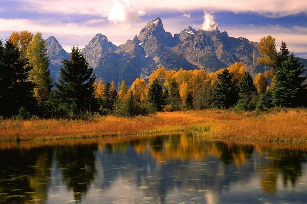 Lac sur fond de montagnes et de forêts