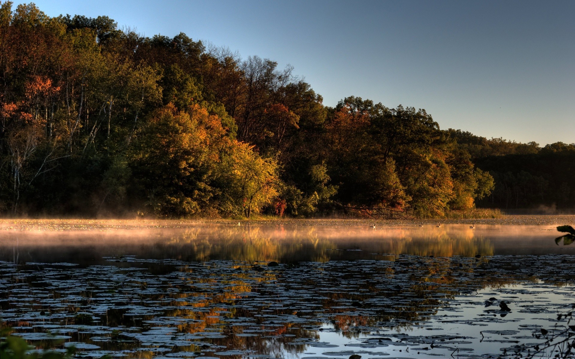 automne eau paysage arbre automne nature aube lac coucher de soleil rivière à l extérieur réflexion bois ciel soir