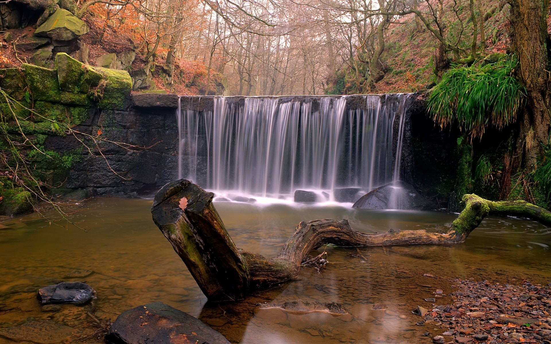 automne eau cascade rivière flux automne rock mouvement arbre nature à l extérieur paysage cascade ruisseau bois voyage feuille flux environnement parc
