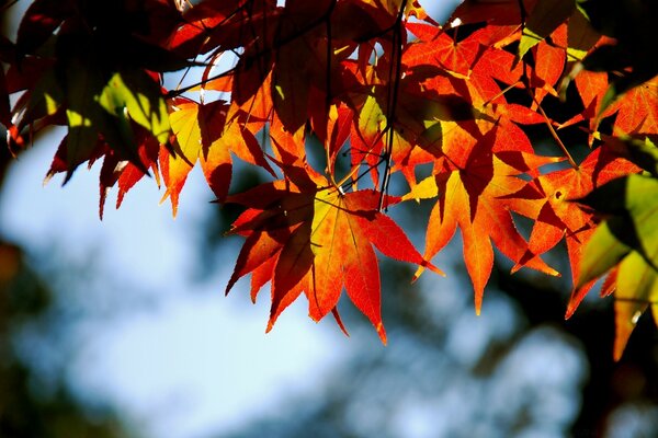 L heure d automne sur une photo