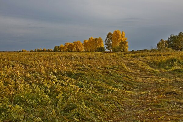 Les terres du village. Automne dans le village. Yeseninskaya Rus