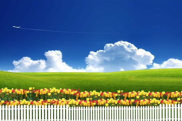 Paysage de printemps d été rural