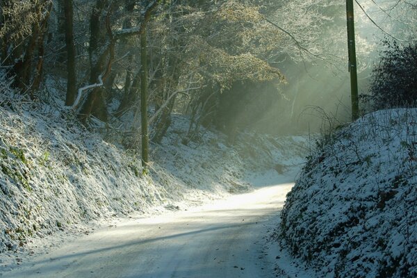 Rayons de soleil sur un sentier forestier en hiver