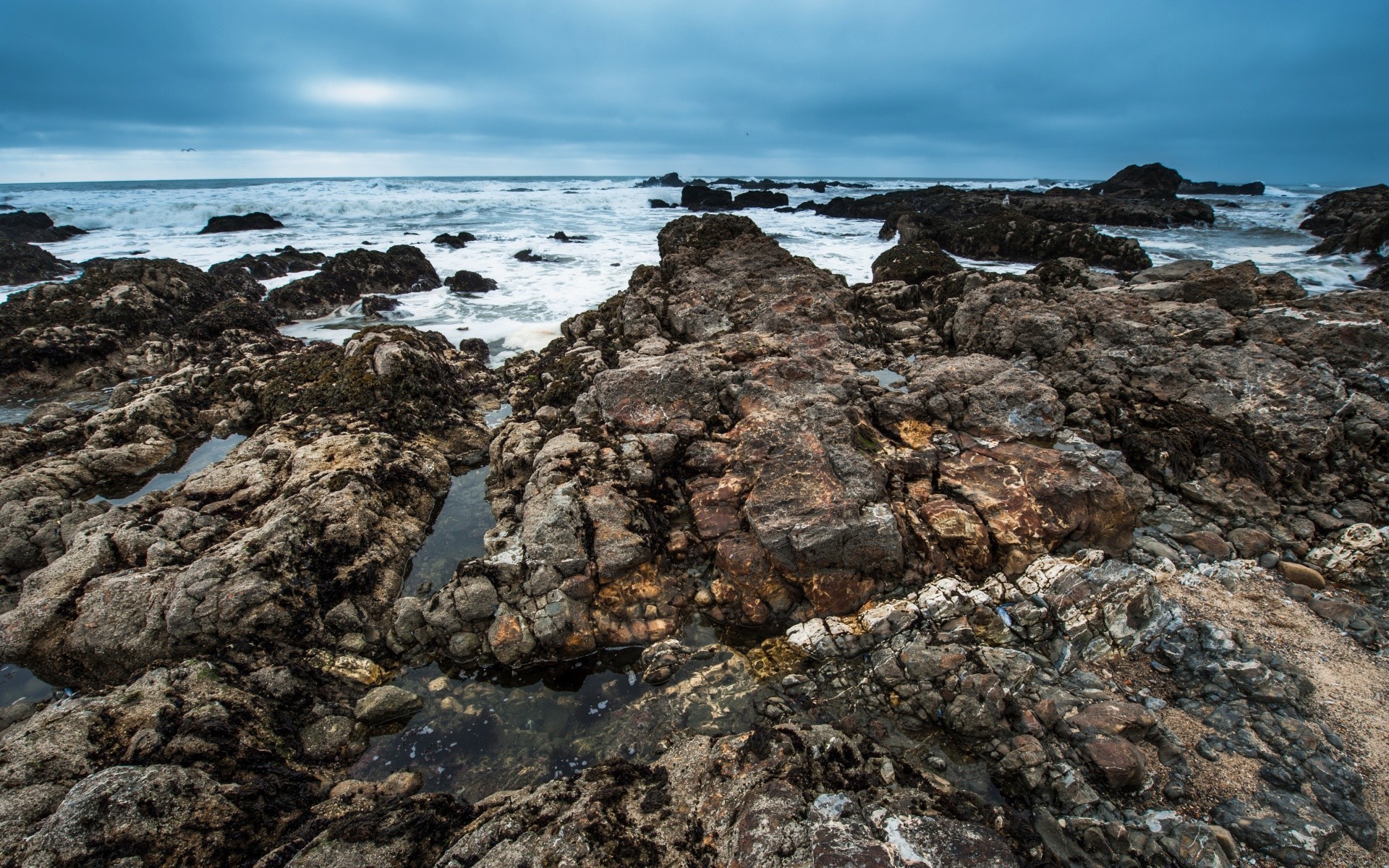 amérique mer mer eau océan rock plage côte paysage nature ciel paysage rocky voyage marée algues sable côtier pierre à l extérieur