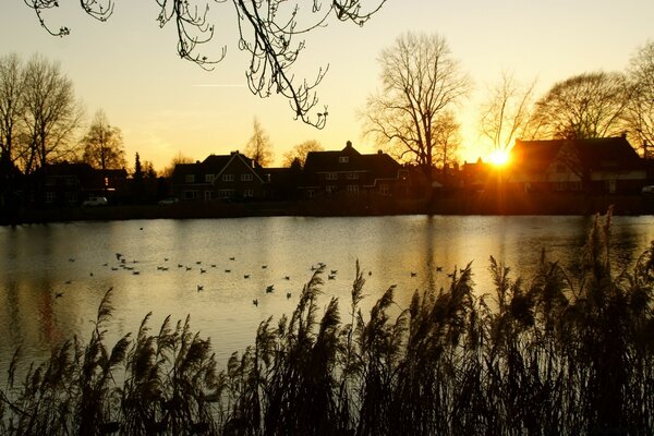Coucher de soleil dans un environnement calme