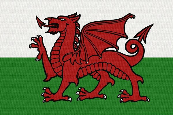 Drapeau blanc et vert avec dragon rouge, blason