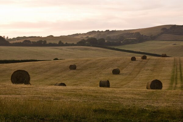 Paysage européen avec des tas de foin récolté